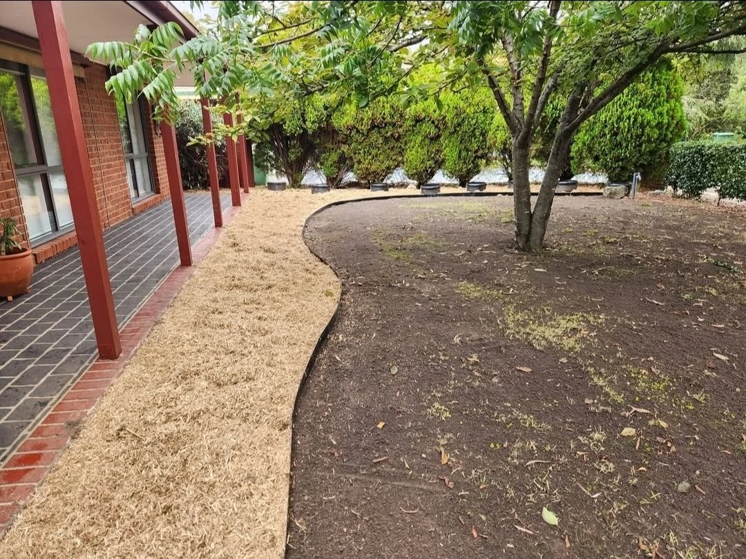 Curved garden edge with mulch and established trees