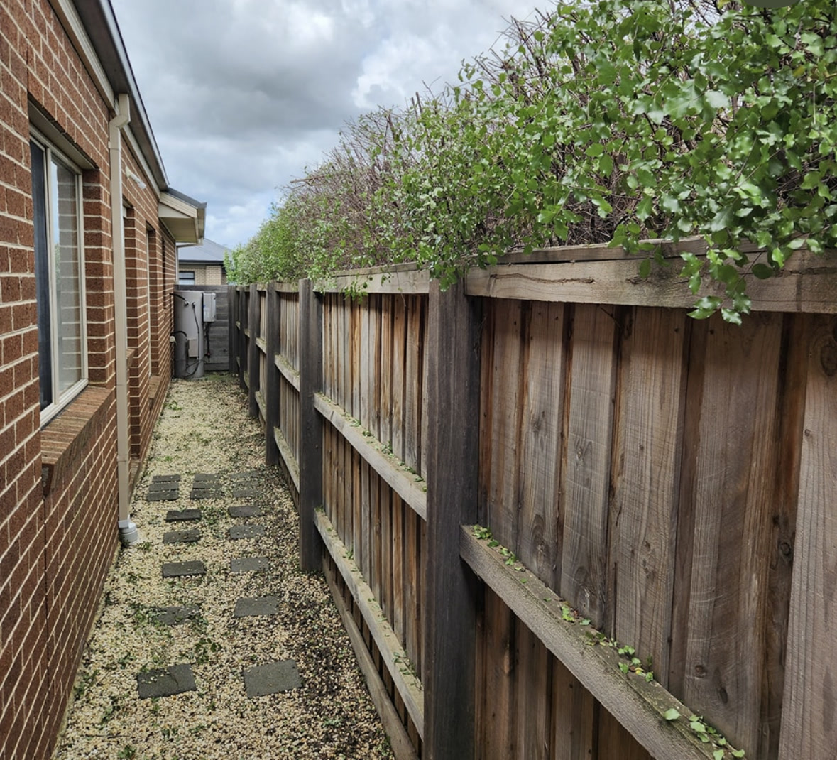 After hedge clean-up: the side passage and timber fence are clear